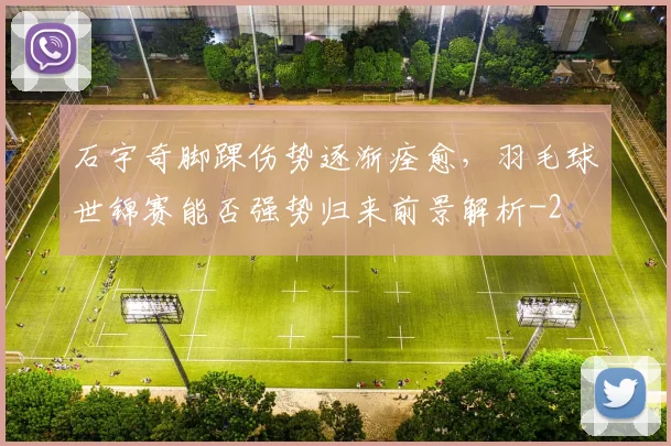 石宇奇脚踝伤势逐渐痊愈，羽毛球世锦赛能否强势归来前景解析