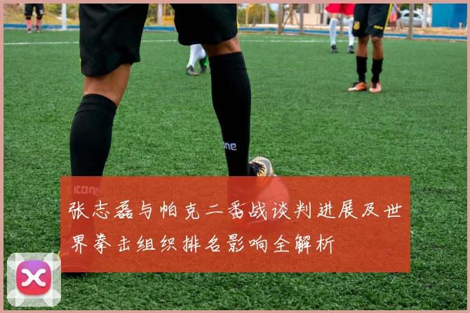 张志磊与帕克二番战谈判进展及世界拳击组织排名影响全解析