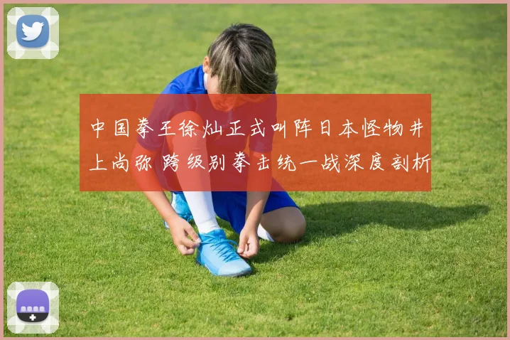 中国拳王徐灿正式叫阵日本怪物井上尚弥 跨级别拳击统一战深度剖析
