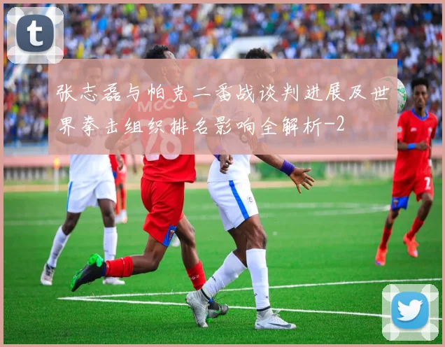 张志磊与帕克二番战谈判进展及世界拳击组织排名影响全解析